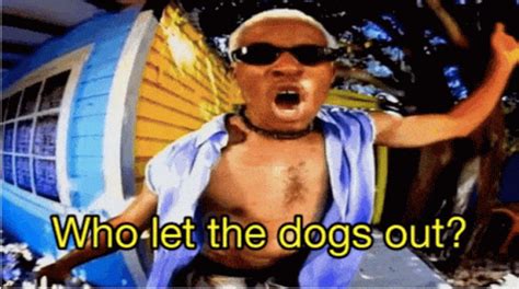 who let the dogs out gif